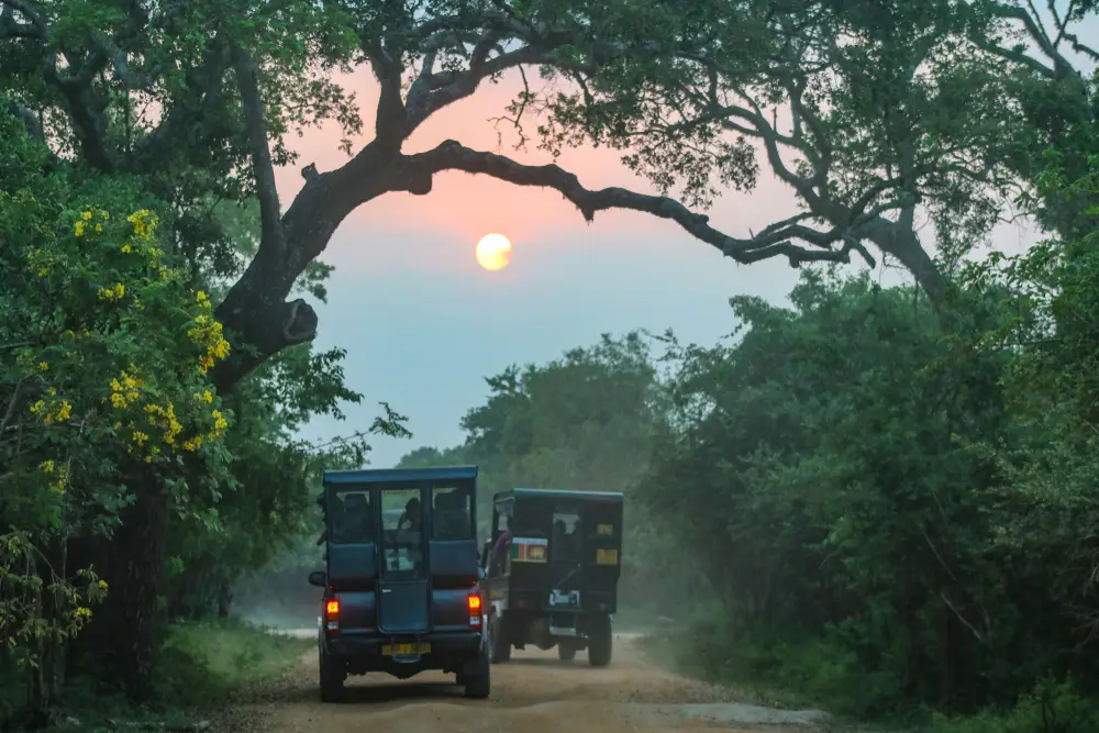 Sri,Lanka,Safari,Vehicles,In,Yala