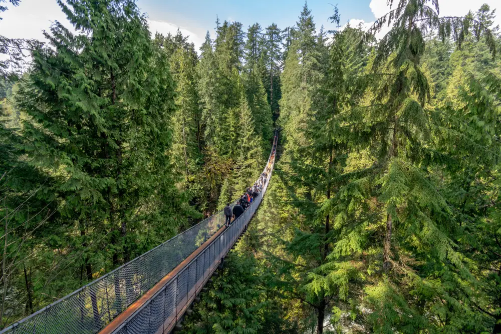 A,View,Of,Capilano,Suspension,Bridge,In,Vancouver,,British,Columbia,