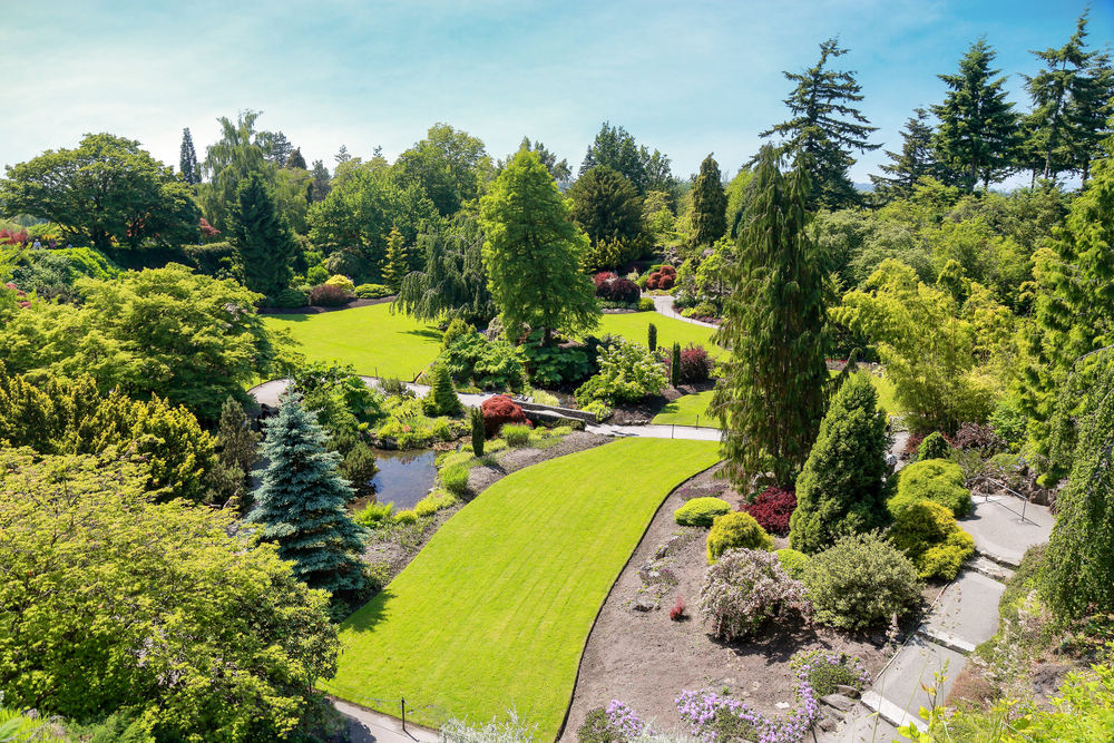 Sunny,Afternoon,At,Queen,Elizabeth,Park,,Vancouver,Canada