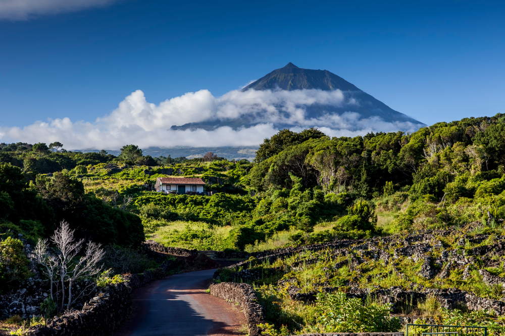 Pico island ,Azores