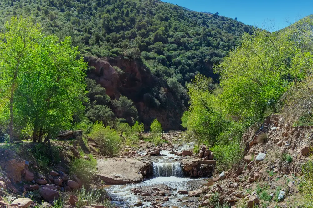 Ourika,Valley,Landscapes,,Morocco.,Near,Marrakesh.