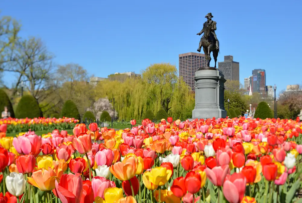 Boston,Public,Garden.,George,Washington,Statue,Surrounded,By,Tulips,,Tourists