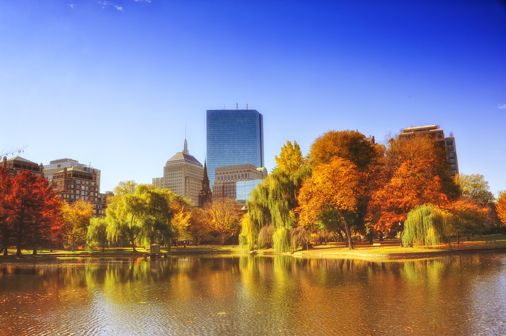 Foliage,At,Boston,Common