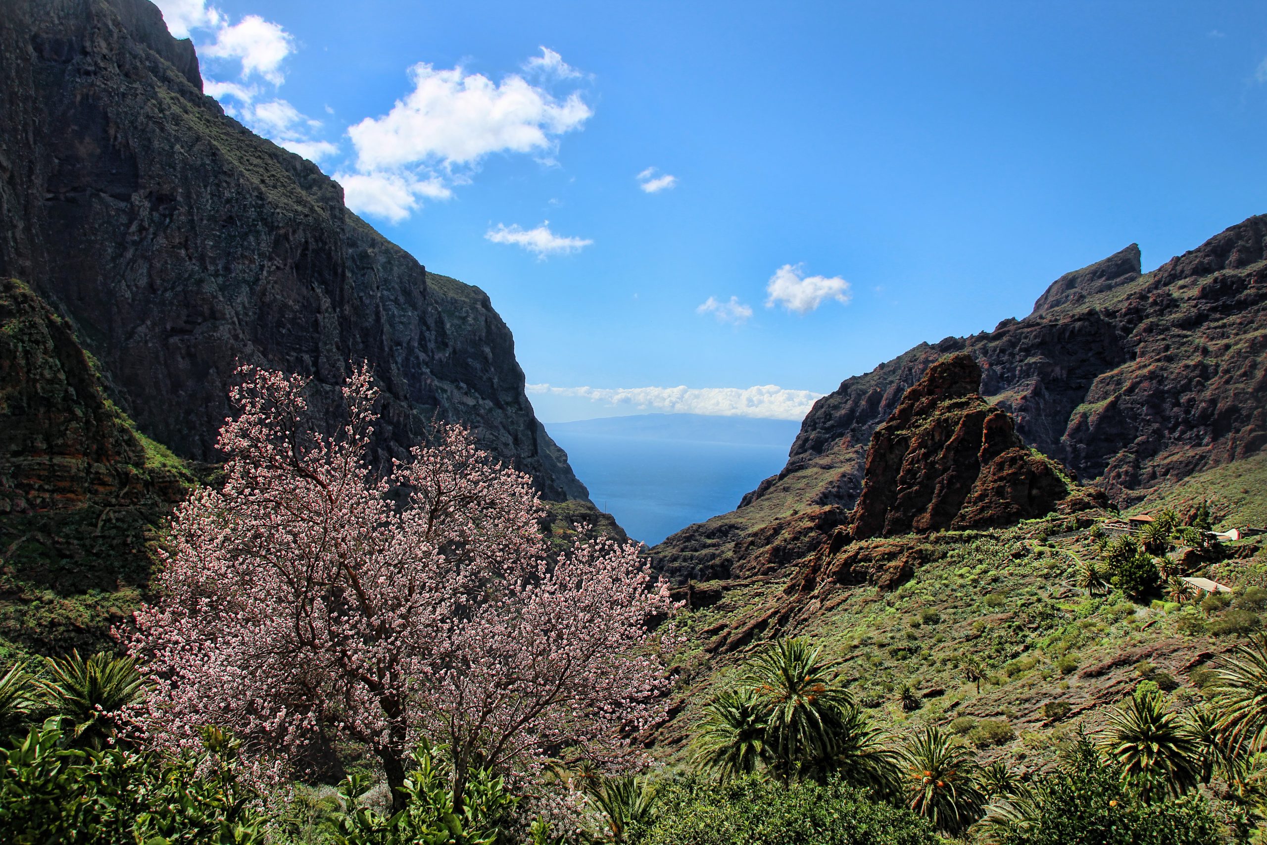 gregmontani-tenerife-3198649