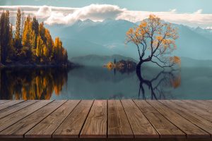 Wood,Display,Shelf,On,Reflection,Lone,Tree,In,Lake,Wanaka