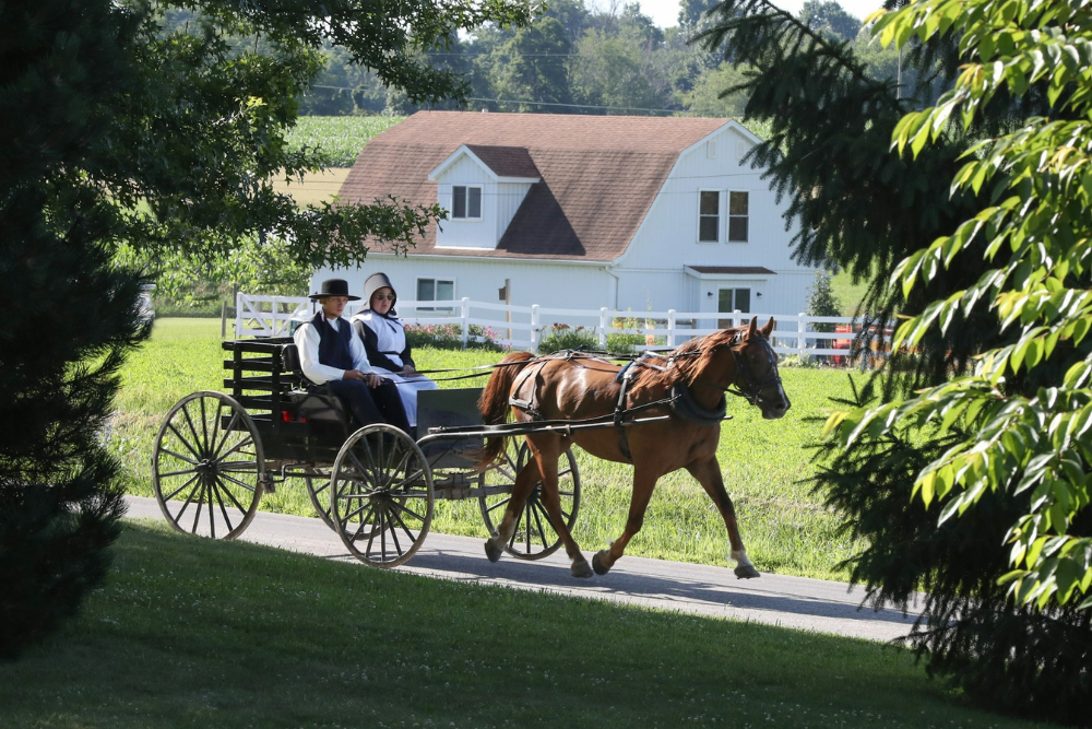 Lancaster Amish Countr