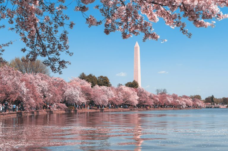 Washington USA