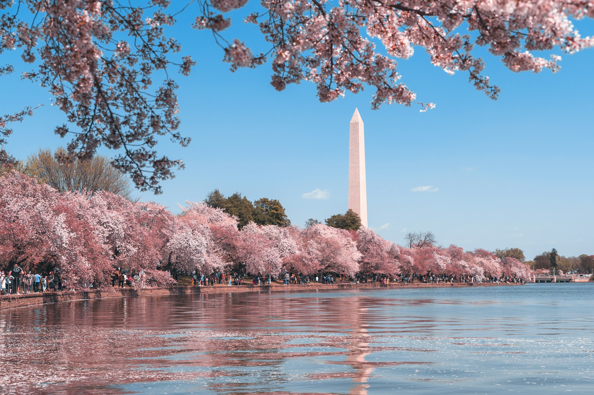 Washington USA