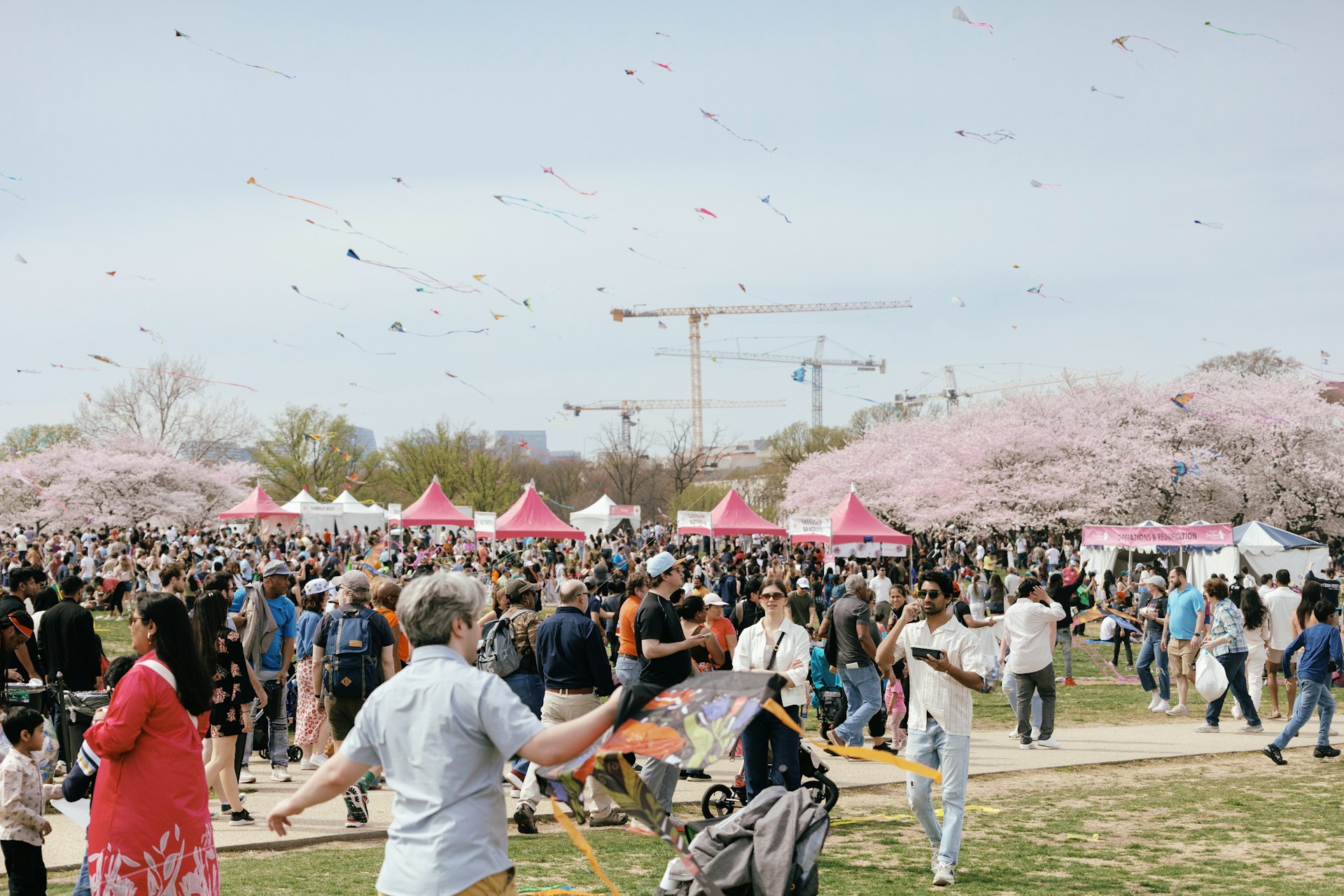 washington Blossom Kite Festival USA