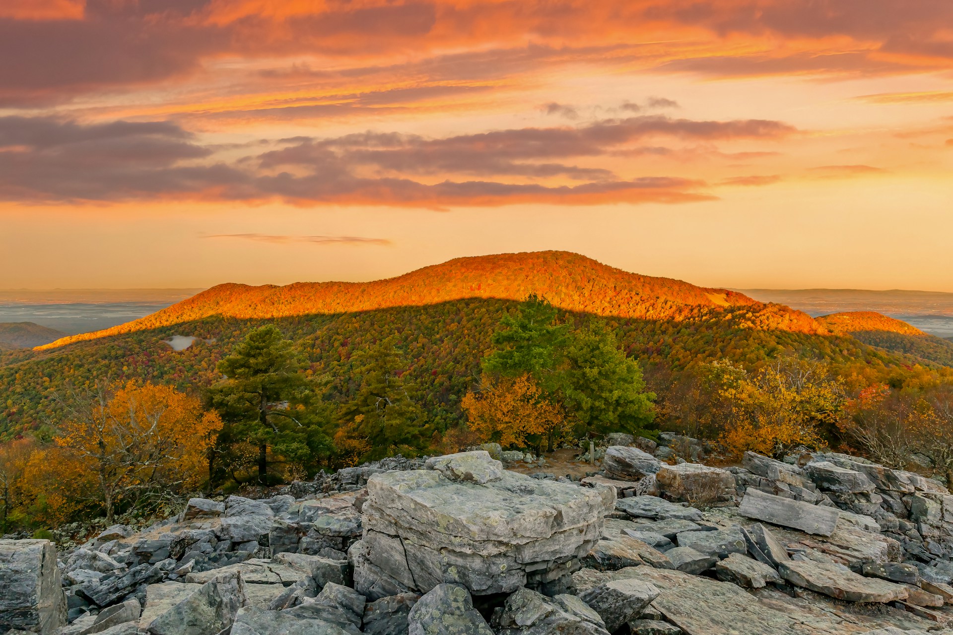 Shenandoah National Park USA