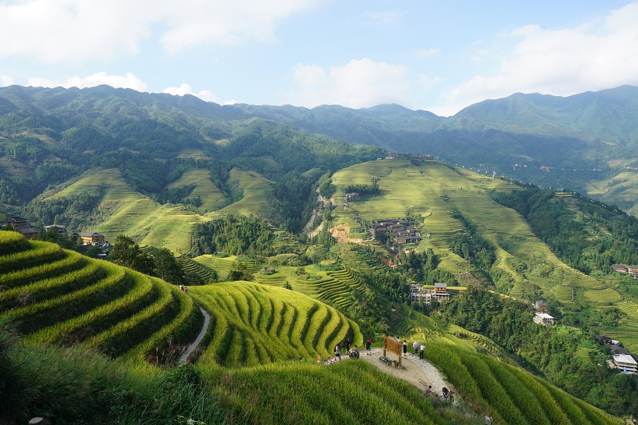 Longji Rice Terraces CHINA